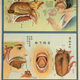 Illustration for article titled Retro Educational Posters Reimagine The Human Body As A Factory